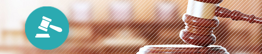 Trial & Litigation Counsel